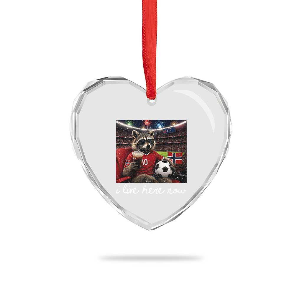 Norway Soccer Football Fan Norge Norwegian Flag Heart Crystal Glass Ornament Funny Raccoon Drinking Iced Coffee TS14 Print Your Wear