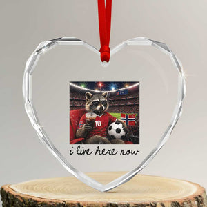Norway Soccer Football Fan Norge Norwegian Flag Heart Crystal Glass Ornament Funny Raccoon I Live Here Now TS14 Transparent Glass 3'' Heart Print Your Wear