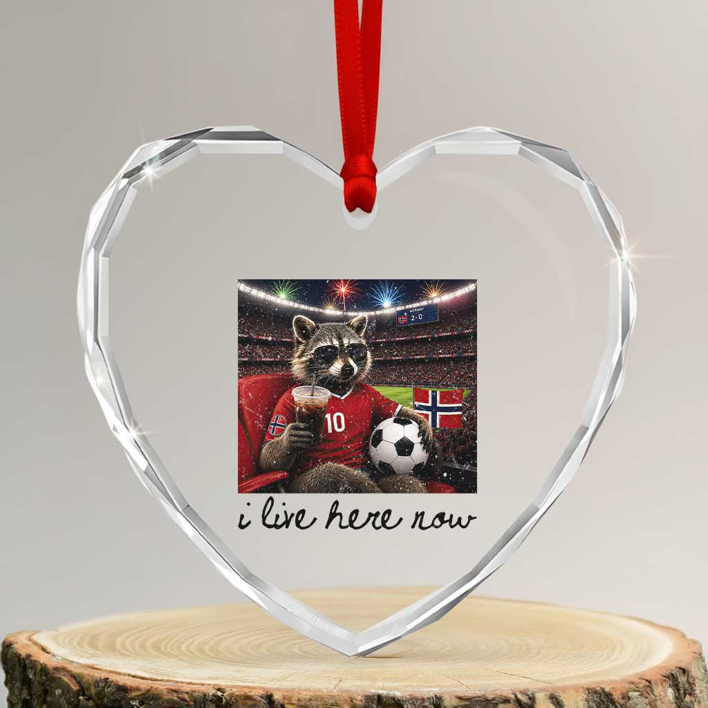 Norway Soccer Football Fan Norge Norwegian Flag Heart Crystal Glass Ornament Funny Raccoon I Live Here Now TS14 Transparent Glass 3'' Heart Print Your Wear