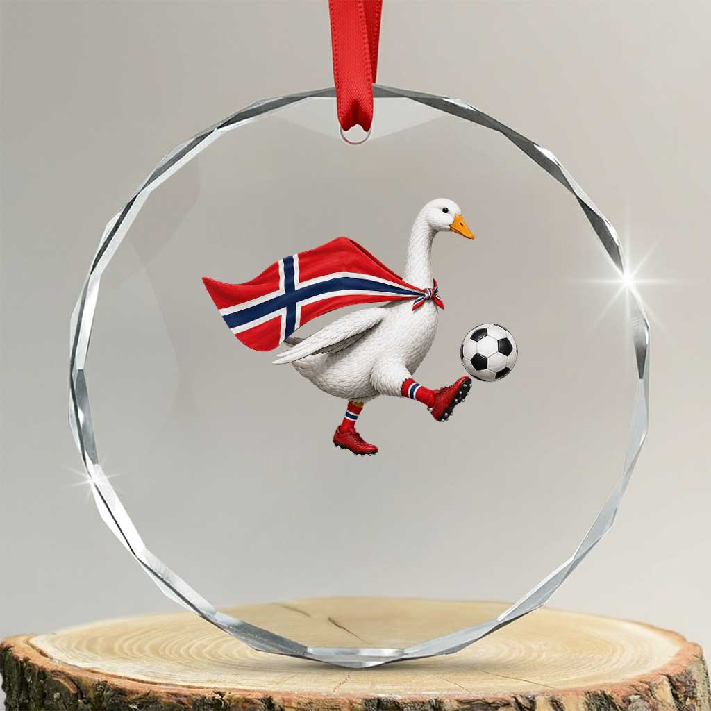 Norway Soccer Goose Crystal Glass Ornament Norwegian Flag Patriotic Football Fan Graphic TS10 Transparent Glass 3'' Circle Print Your Wear