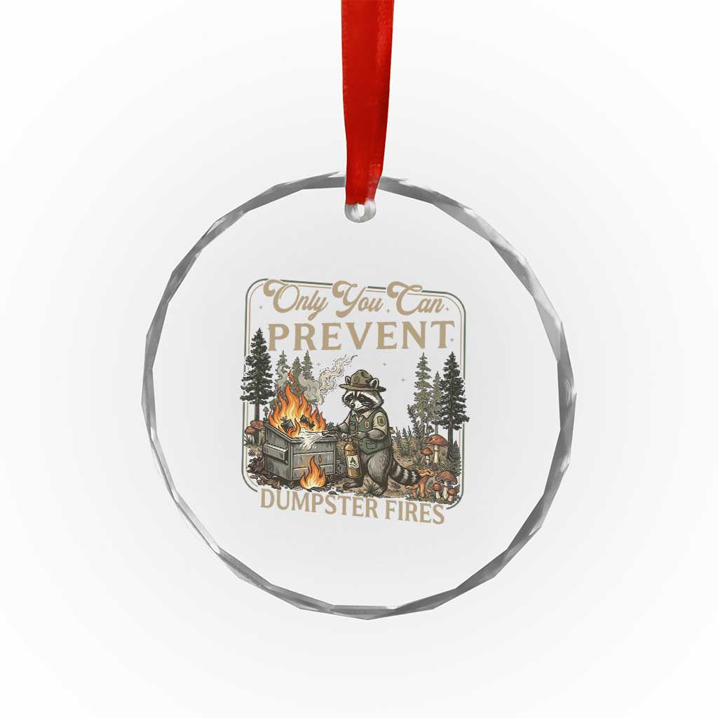 Only You Can Prevent Dumpster Fires Crystal Glass Ornament Funny Raccoon Mental Health Meme TS14 Print Your Wear