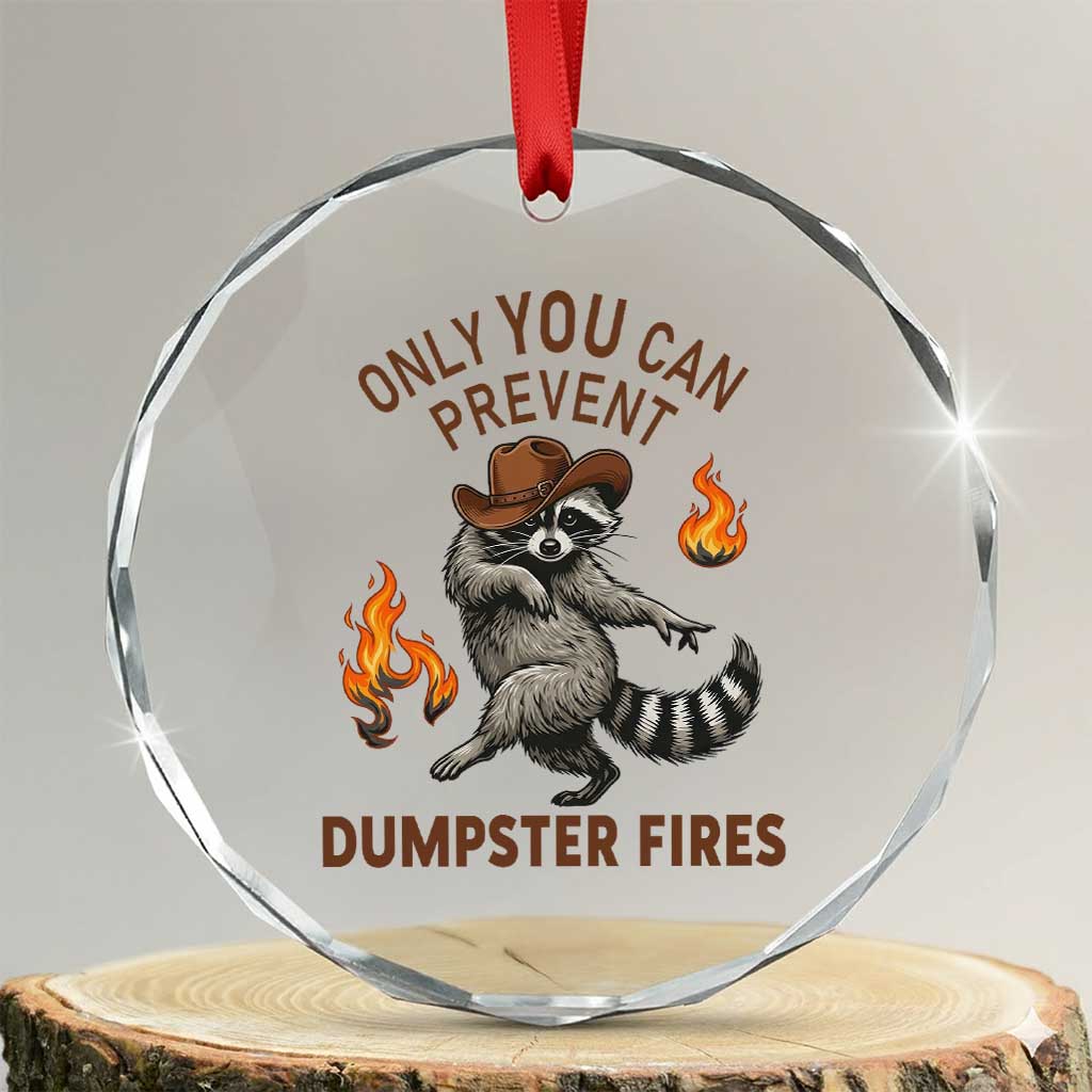 Only You Can Prevent Dumpster Fires Crystal Glass Ornament Funny Raccoon Sarcastic Humor TS14 Transparent Glass 3'' Circle Print Your Wear