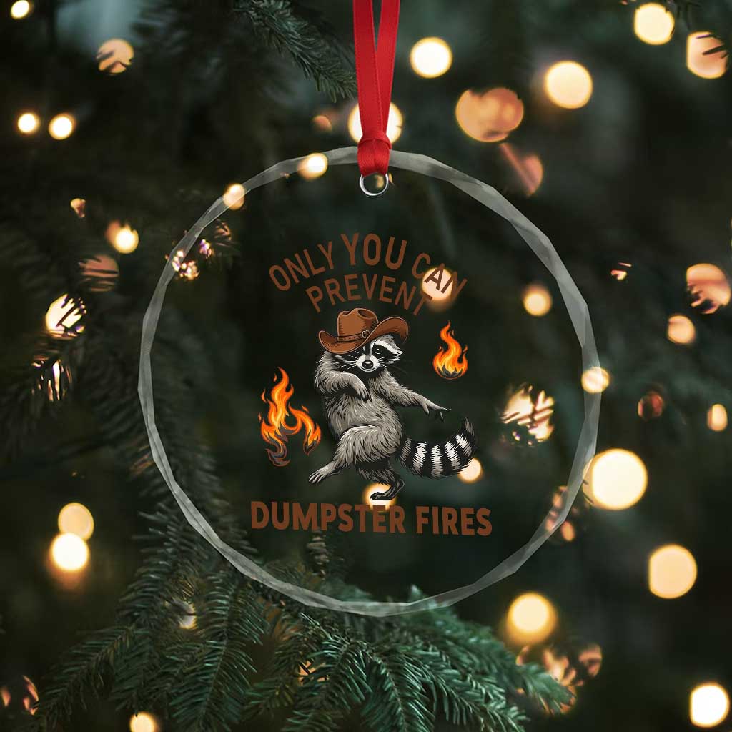 Only You Can Prevent Dumpster Fires Crystal Glass Ornament Funny Raccoon Sarcastic Humor TS14 Print Your Wear