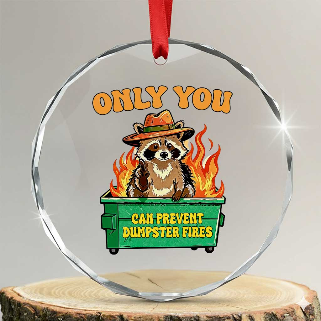 Only You Can Prevent Dumpster Fires Funny Raccoon Crystal Glass Ornament Sarcastic Chaos Humor Holiday Gag Gift TS02 Transparent Glass 3'' Circle Print Your Wear