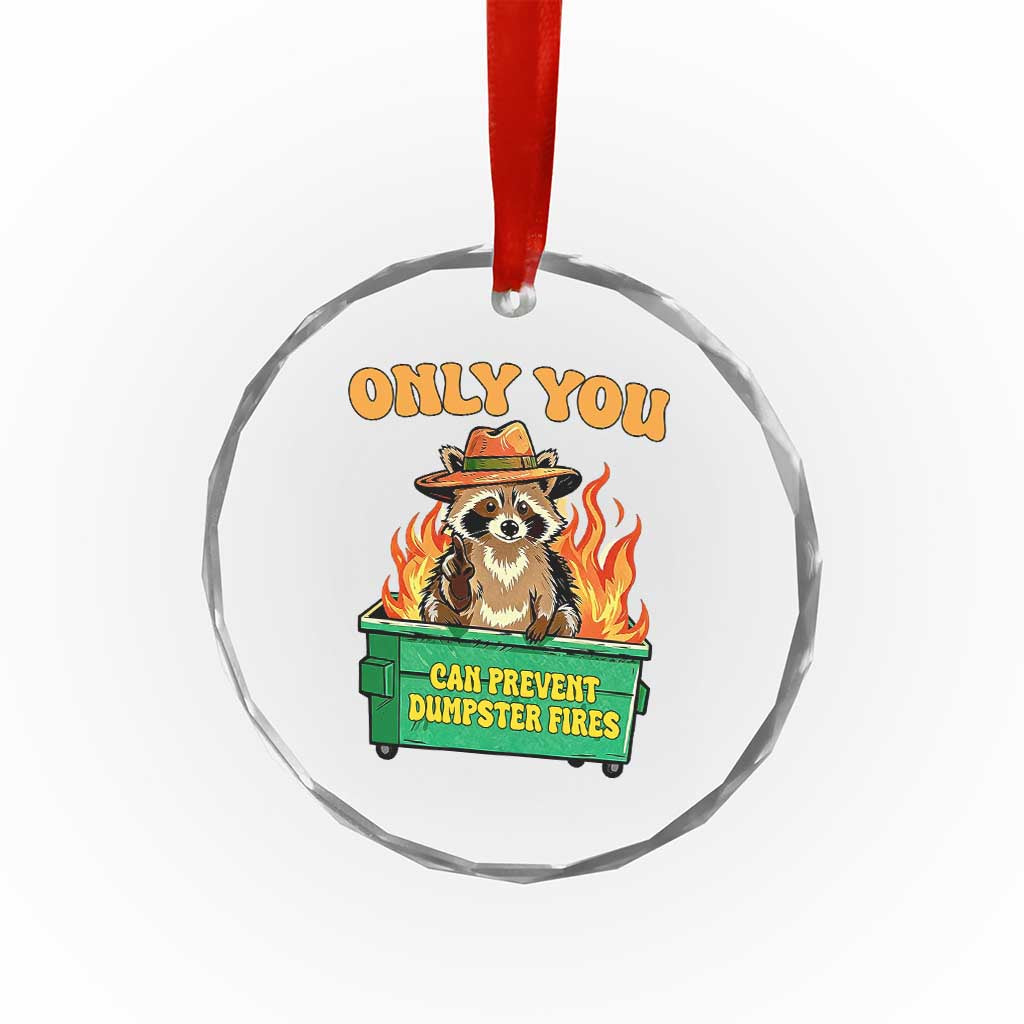 Only You Can Prevent Dumpster Fires Funny Raccoon Crystal Glass Ornament Sarcastic Chaos Humor Holiday Gag Gift TS02 Print Your Wear