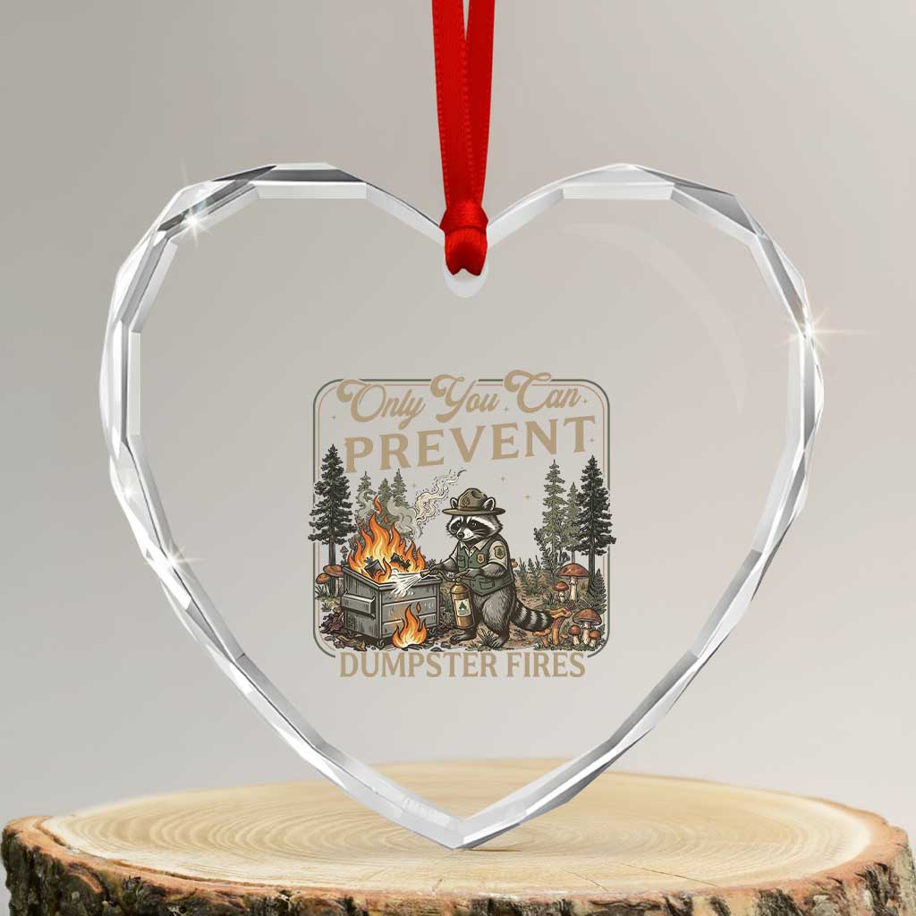 Only You Can Prevent Dumpster Fires Heart Crystal Glass Ornament Funny Raccoon Mental Health Meme TS14 Transparent Glass 3'' Heart Print Your Wear