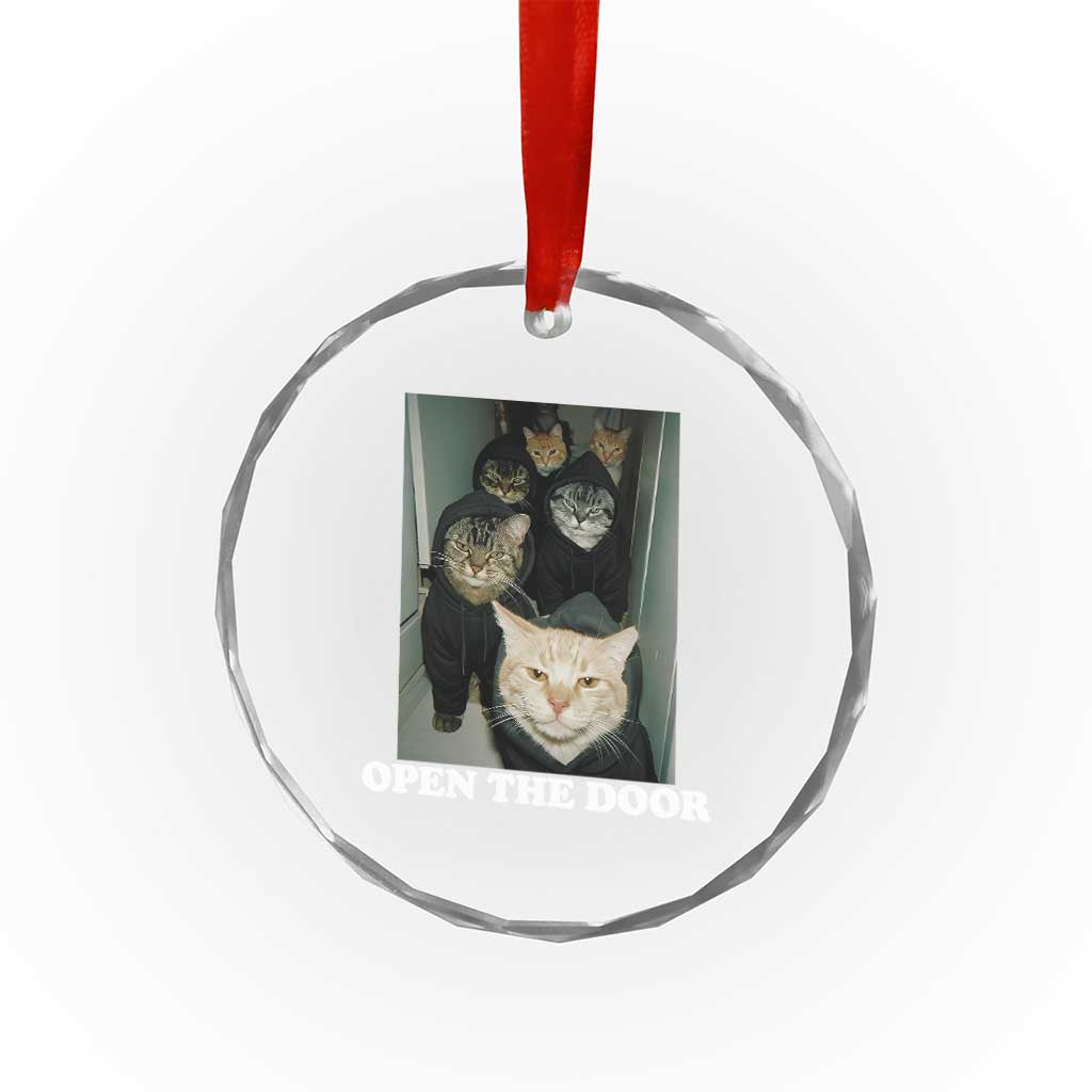 Open The Door Cats Lover Crystal Glass Ornament Funny Cat Gang Sarcastic Meme TS14 Print Your Wear