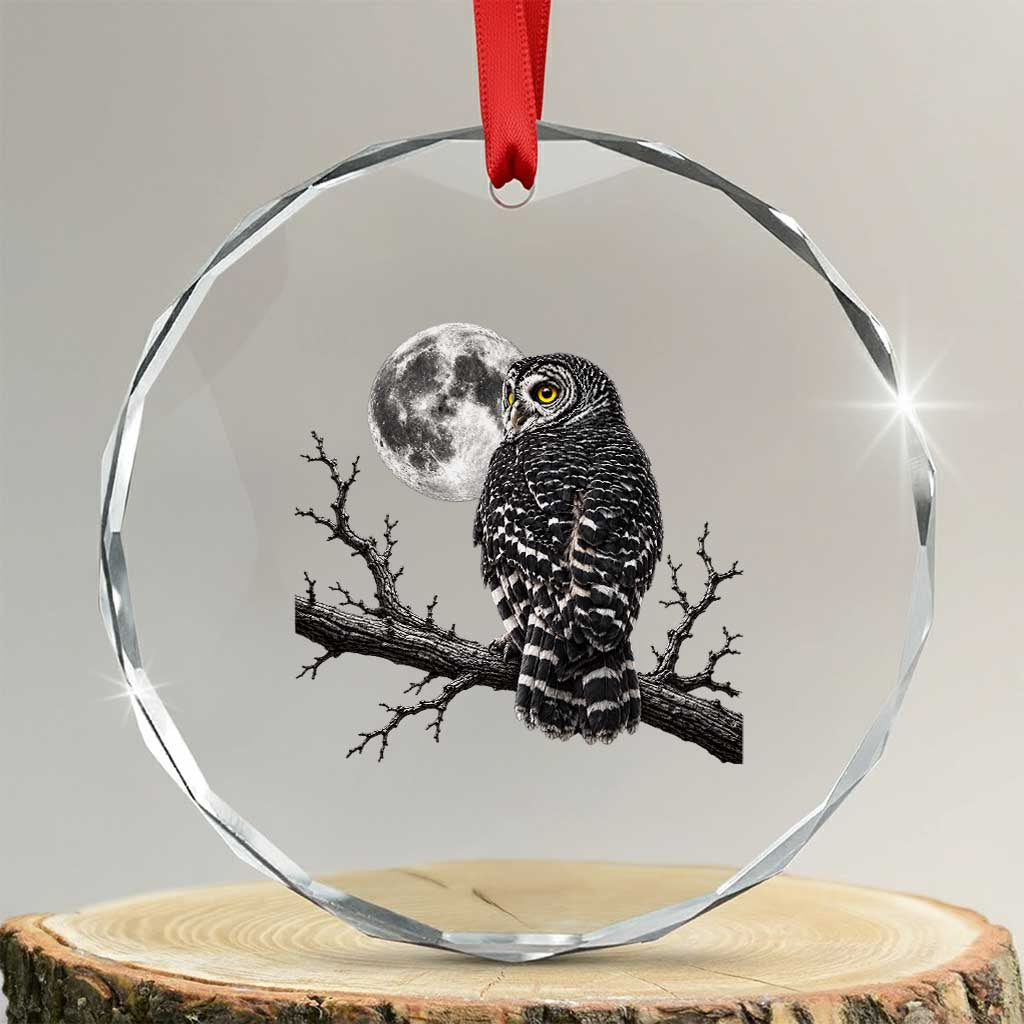 Owl Full Moon Graphic Crystal Glass Ornament Vintage Dark Academia Bird TS10 Transparent Glass 3'' Circle Print Your Wear