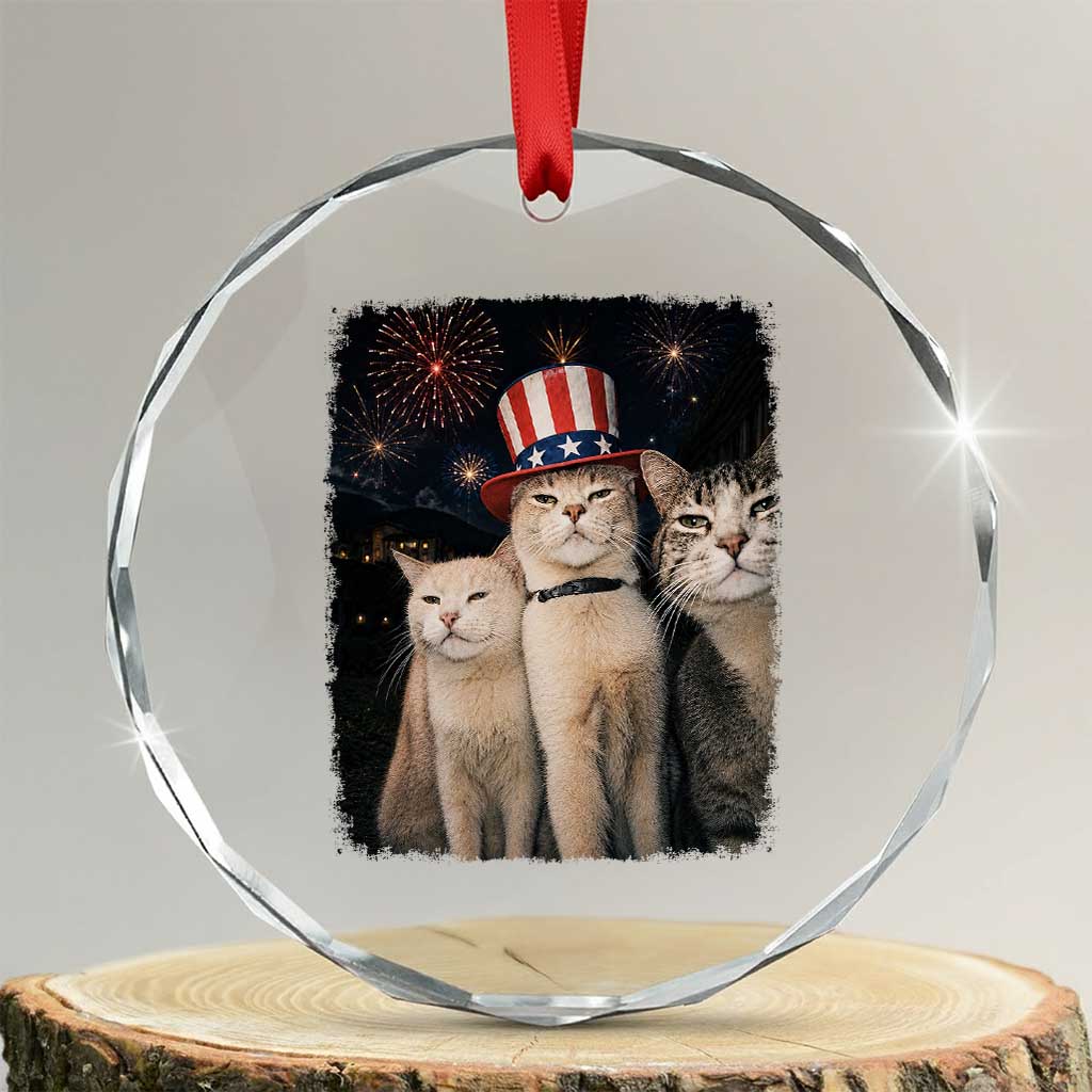Patriotic Smoking Cat Crystal Glass Ornament Funny American Cat Lover 4th of July TS14 Transparent Glass 3'' Circle Print Your Wear
