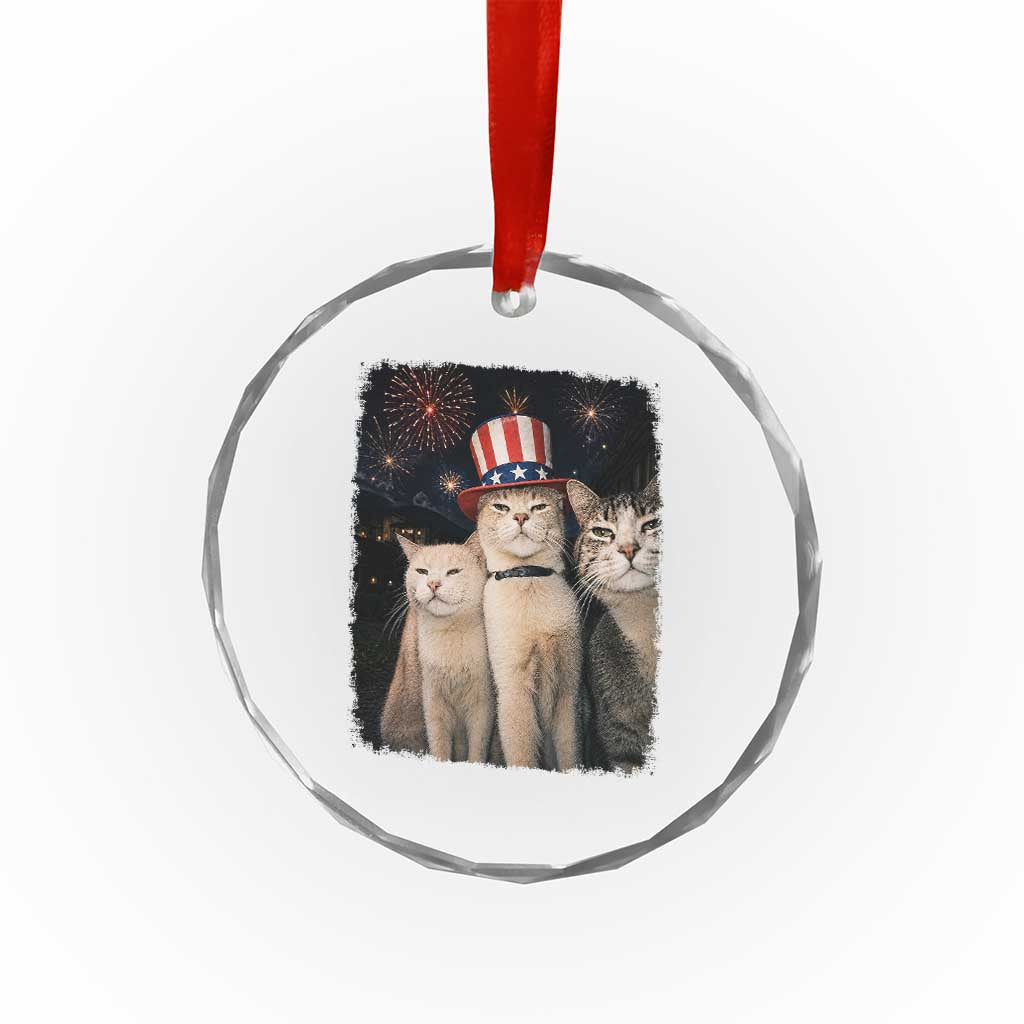 Patriotic Smoking Cat Crystal Glass Ornament Funny American Cat Lover 4th of July TS14 Print Your Wear