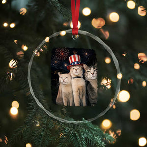 Patriotic Smoking Cat Crystal Glass Ornament Funny American Cat Lover 4th of July TS14 Print Your Wear