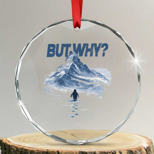 Penguin But Why Crystal Glass Ornament Funny Penguin Snowy Mountain Meme TS11 Transparent Glass 3'' Circle Print Your Wear
