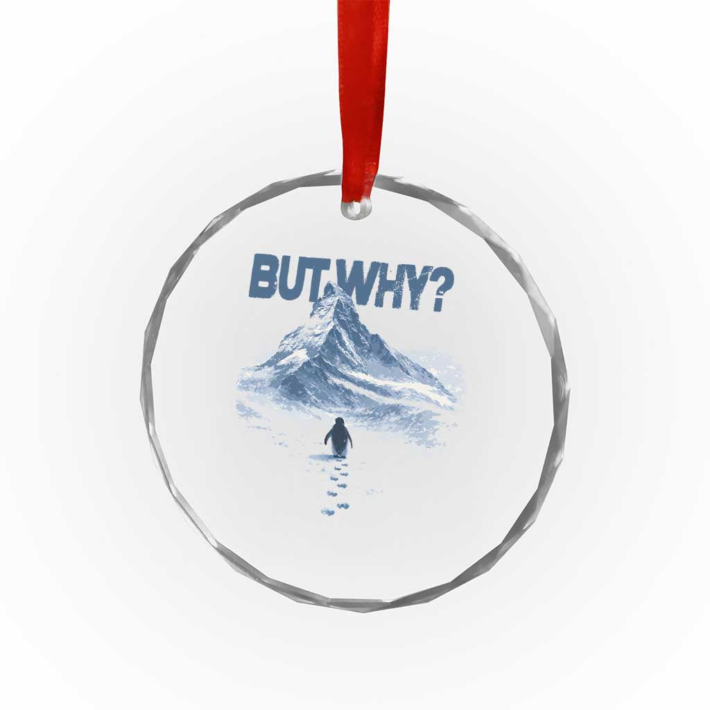 Penguin But Why Crystal Glass Ornament Funny Penguin Snowy Mountain Meme TS11 Print Your Wear