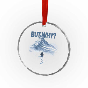 Penguin But Why Crystal Glass Ornament Funny Penguin Snowy Mountain Meme TS11 Print Your Wear