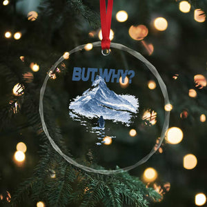 Penguin But Why Crystal Glass Ornament Funny Penguin Snowy Mountain Meme TS11 Print Your Wear
