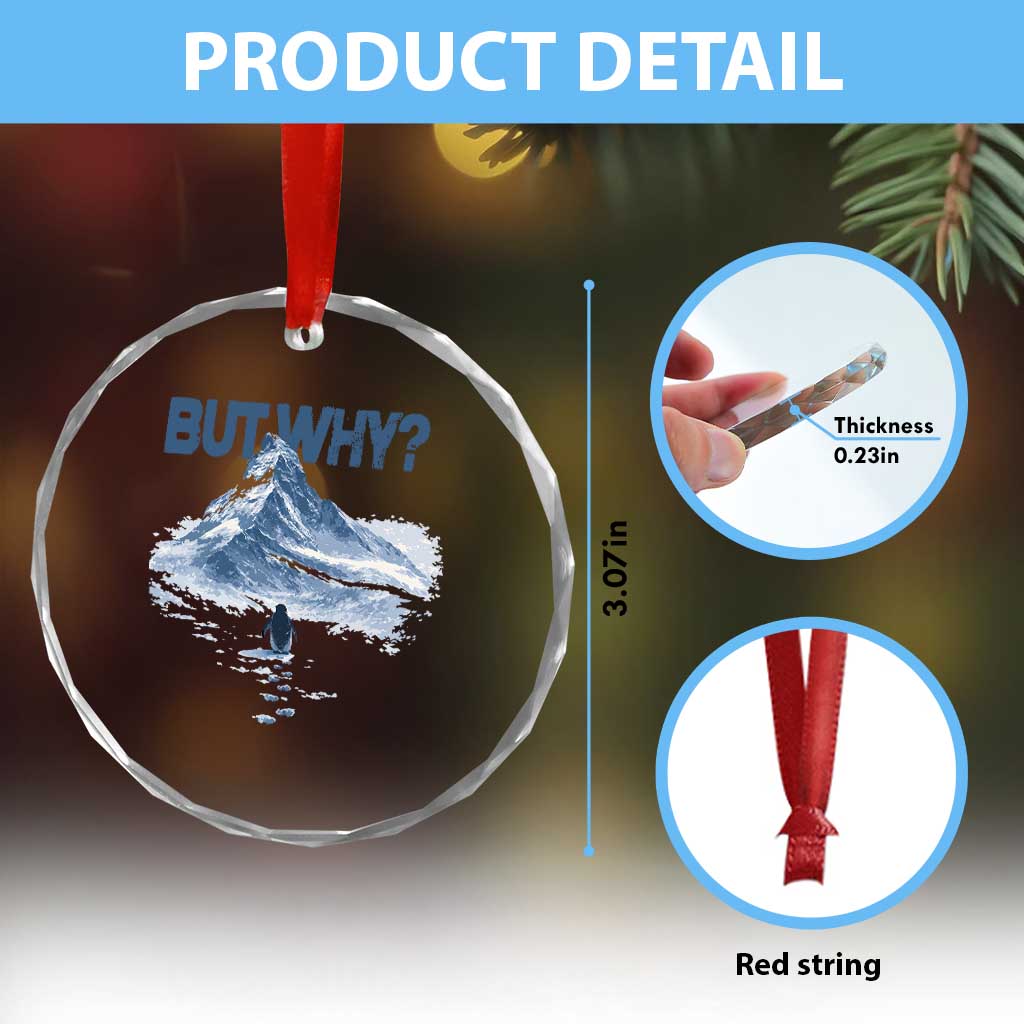 Penguin But Why Crystal Glass Ornament Funny Penguin Snowy Mountain Meme TS11 Print Your Wear