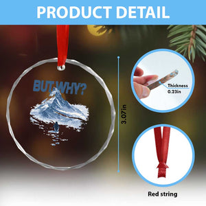 Penguin But Why Crystal Glass Ornament Funny Penguin Snowy Mountain Meme TS11 Print Your Wear