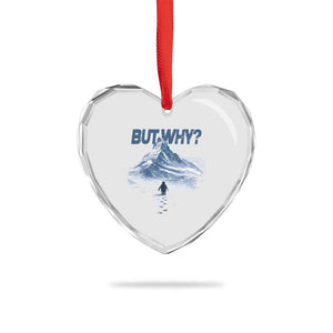 Penguin But Why Heart Crystal Glass Ornament Funny Penguin Snowy Mountain Meme TS11 Print Your Wear