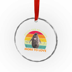 Pesto The Penguin Crystal Glass Ornament More To Love Vintage Sunset Retro TS11 Print Your Wear