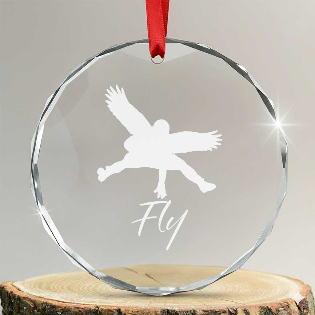 Philly Lover Crystal Glass Ornament Fly Birds Spirit Vintage Football Lovers TS10 Transparent Glass 3'' Circle Print Your Wear