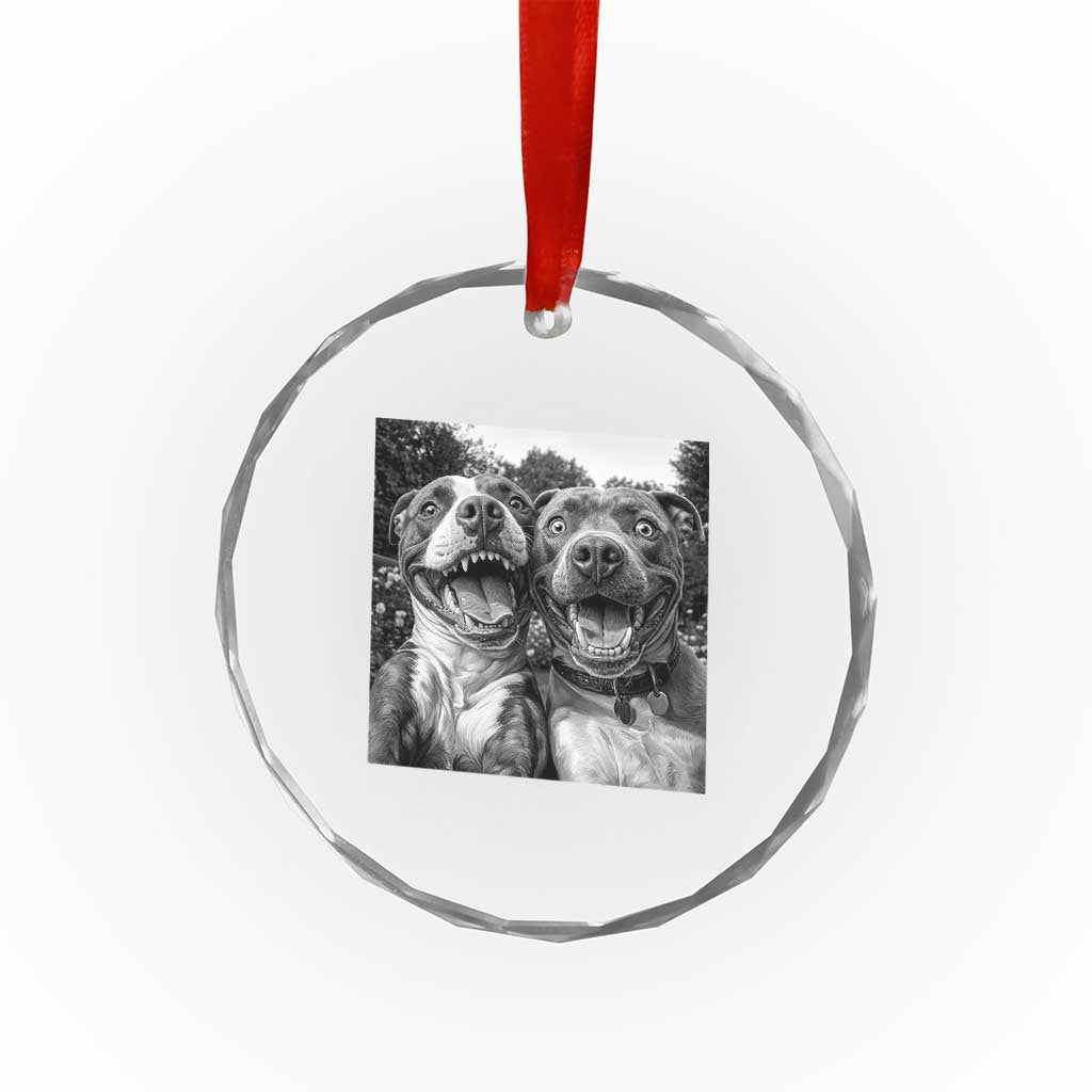 Pitbull Selfie Meme Crystal Glass Ornament Funny Dog Lover Graphic TS12 Print Your Wear