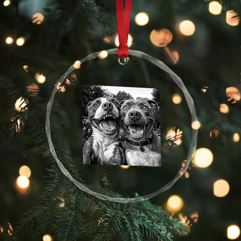 Pitbull Selfie Meme Crystal Glass Ornament Funny Dog Lover Graphic TS12 Print Your Wear