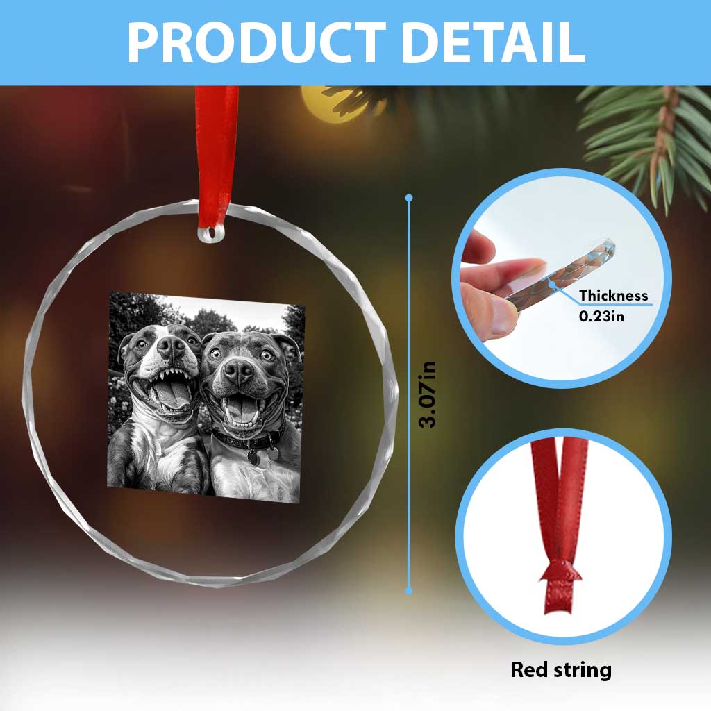 Pitbull Selfie Meme Crystal Glass Ornament Funny Dog Lover Graphic TS12 Print Your Wear