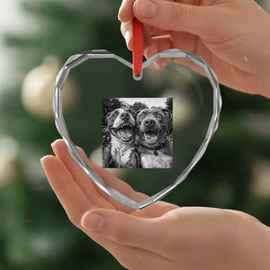 Pitbull Selfie Meme Heart Crystal Glass Ornament Funny Dog Lover Graphic TS12 Print Your Wear