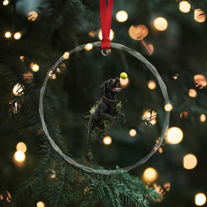 Playful Black Labrador Fetching Chasing Tennis Ball Crystal Glass Ornament TS12 Print Your Wear