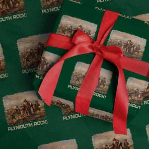 Plymouth Rock Wrapping Paper Roll Mayflower Pilgrims Thanksgiving History TS11 Green Print Your Wear