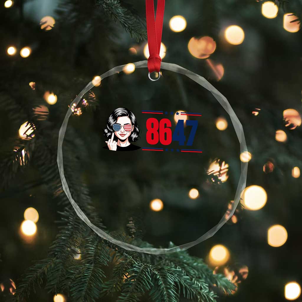 Political Activist 8647 Crystal Glass Ornament Freedom Satire Protest Graphic TS12 Print Your Wear