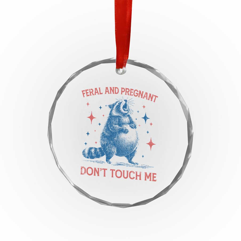 Pregnant Racoon Crystal Glass Ornament Feral And Pregnant Dont Touch Me Pregnancy Humor TS10 Print Your Wear