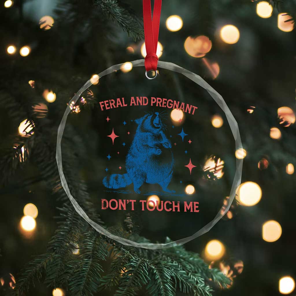 Pregnant Racoon Crystal Glass Ornament Feral And Pregnant Dont Touch Me Pregnancy Humor TS10 Print Your Wear