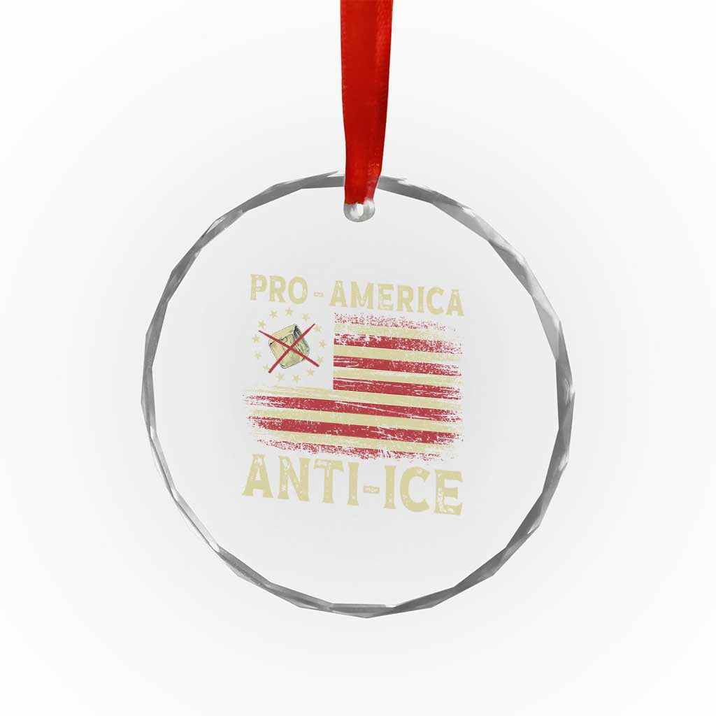 Pro American Anti Ice Crystal Glass Ornament Resist Protest Support Immigrants Refugee TS11 Print Your Wear