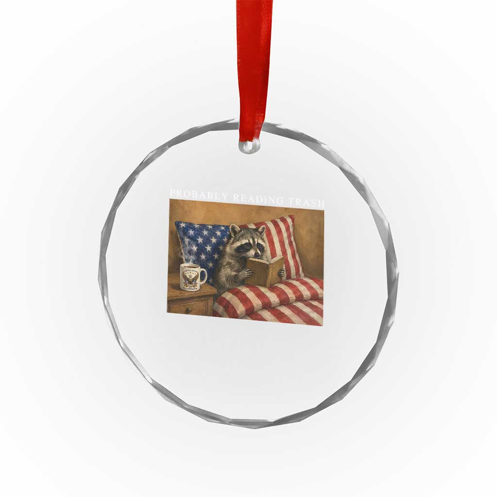 Probably Reading Trash Racoon Crystal Glass Ornament Funny Racoon Book Lover 4th of July TS14 Print Your Wear