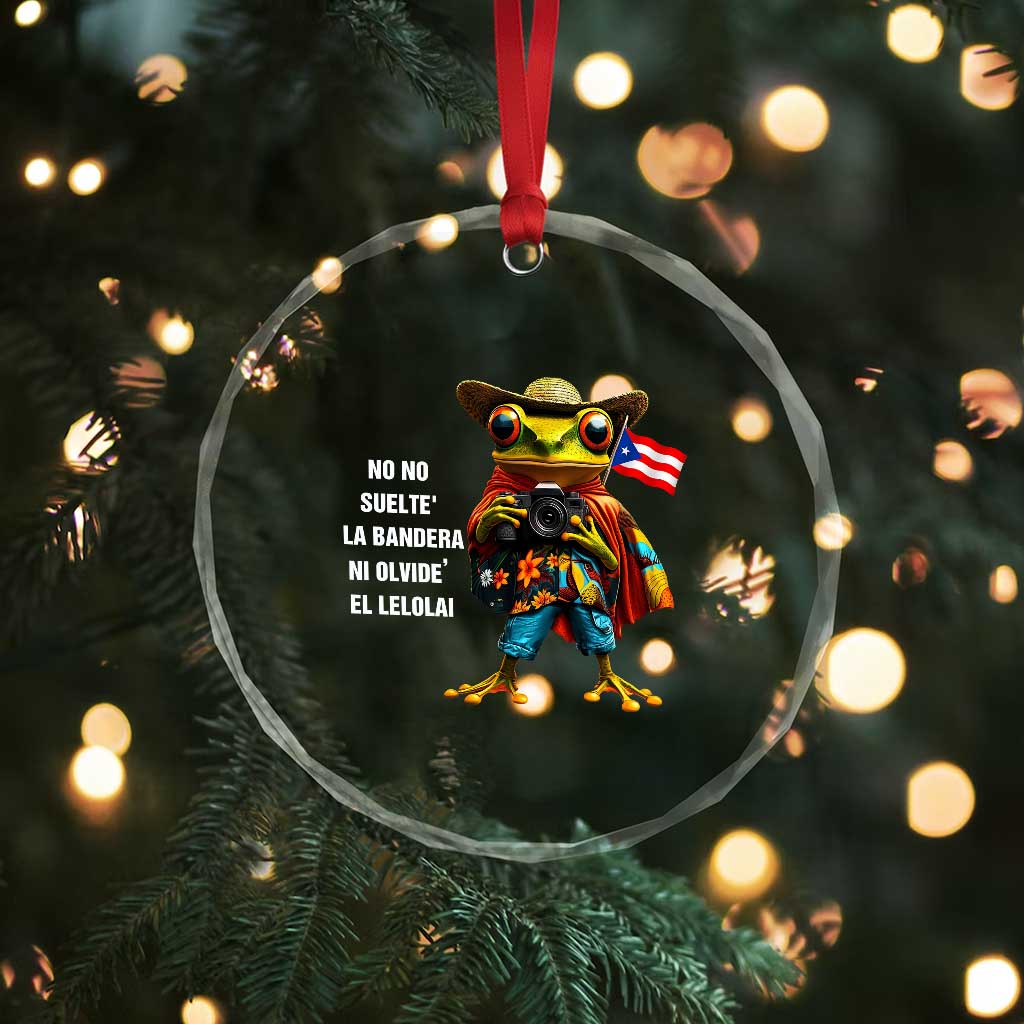 Puerto Rico Coqui' Crystal Glass Ornament Debí Tirar Más Fotos TS02 Print Your Wear
