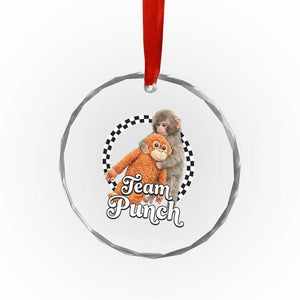 Punch Mokey Crystal Glass Ornament Baby Monkey And Plush Toy Viral Trend TS14 Print Your Wear