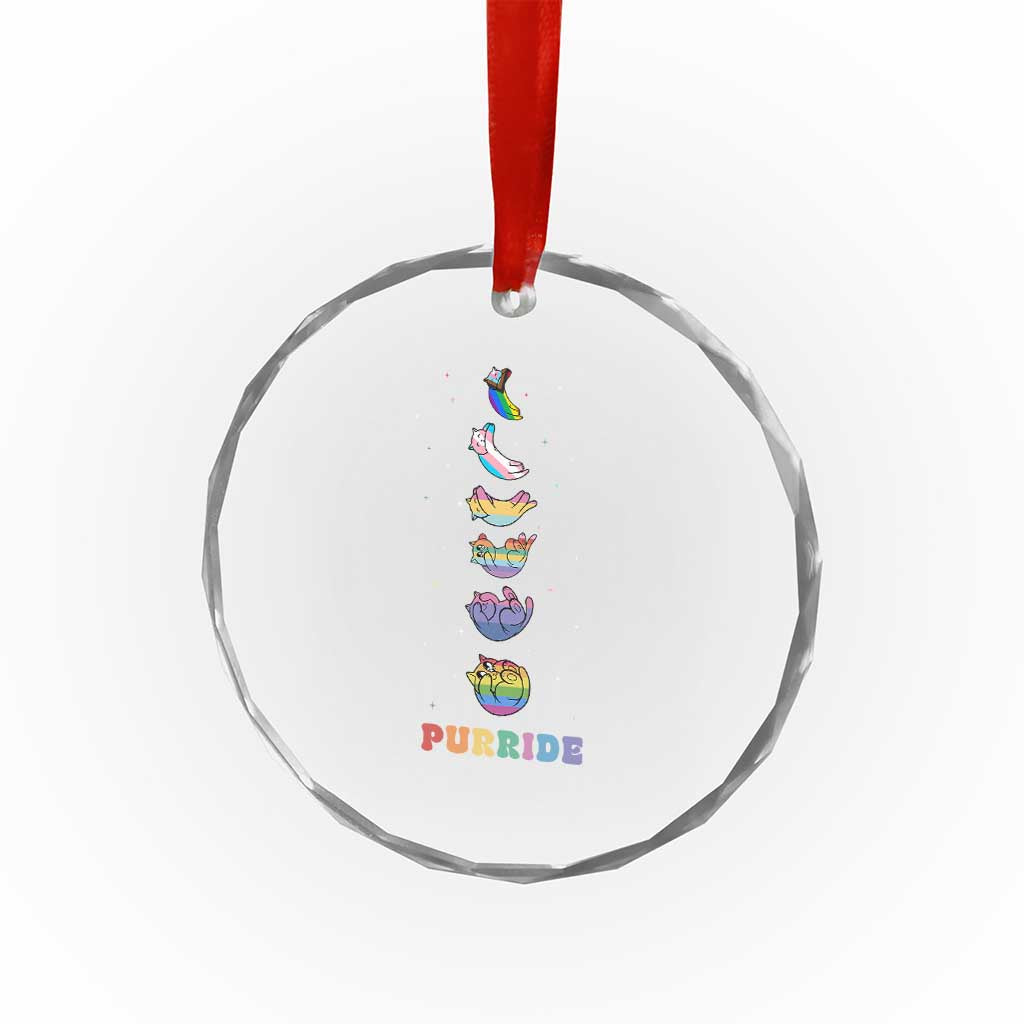 Purride Rainbow Cat Moon Cycles Crystal Glass Ornament LGBQT Pride Feline Space