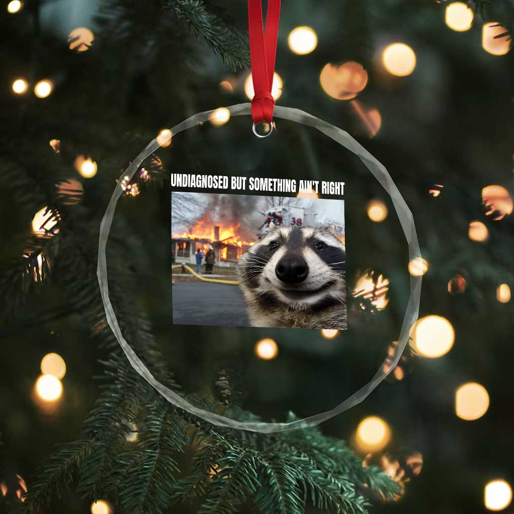 Raccoon Meme Crystal Glass Ornament Undiagnosed But Something Aint Right TS10 Print Your Wear