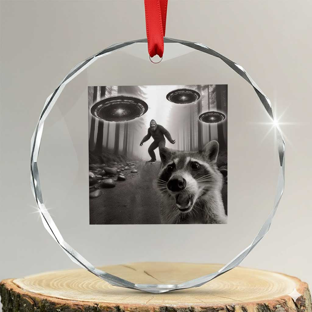 Raccoon Selfie With Bigfoot UFO Crystal Glass Ornament Funny Feral Lover Gifts TS10 Transparent Glass 3'' Circle Print Your Wear