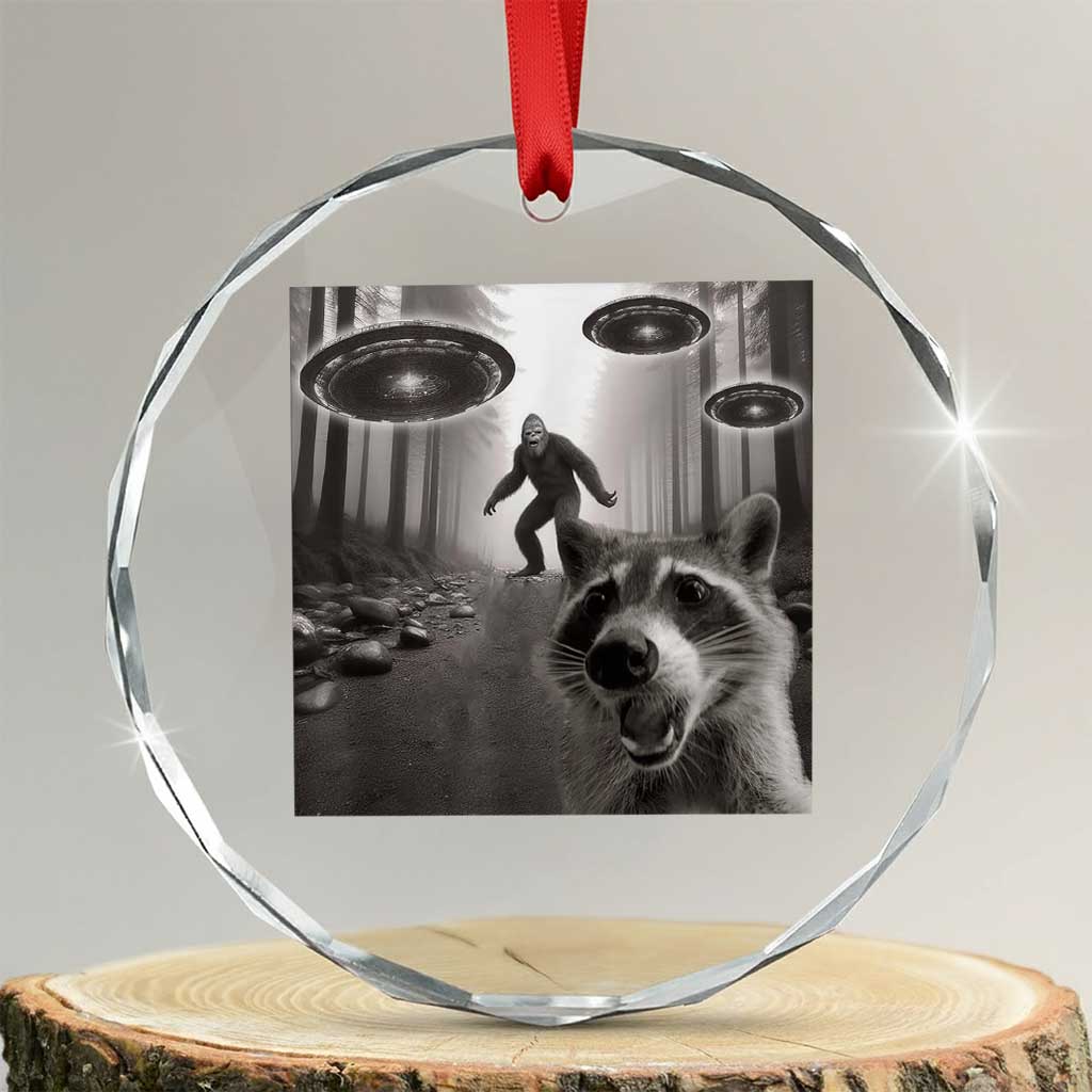 Raccoon Selfie With Bigfoot UFO Crystal Glass Ornament Funny Feral Lover Gifts - Print Your Wear