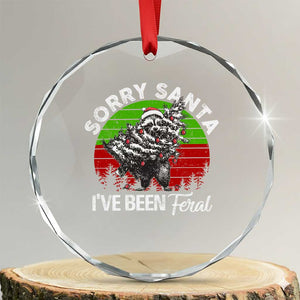 Raccoon Xmas Crystal Glass Ornament Sorry Santa I've Been Feral Retro Xmas Tree TS10 Transparent Glass 3'' Circle Print Your Wear