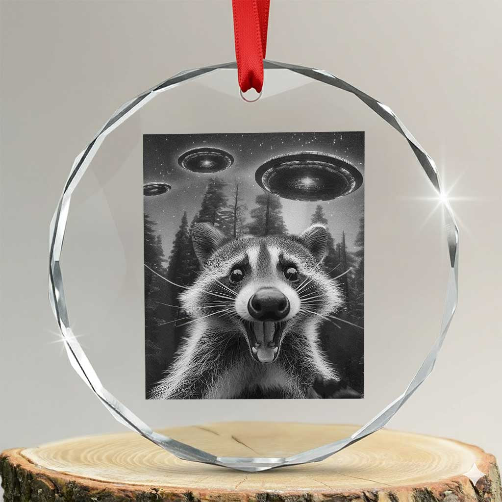 Racoon Meme Crystal Glass Ornament Selfie With Alien UFO TS10 Transparent Glass 3'' Circle Print Your Wear