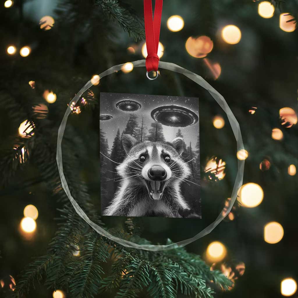 Racoon Meme Crystal Glass Ornament Selfie With Alien UFO TS10 Print Your Wear