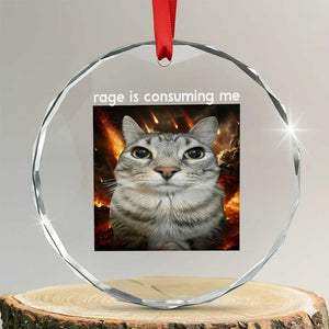 Rage Is Consuming Me Cat Crystal Glass Ornament Funny Weird Humor Silly Cat Meme TS10 Transparent Glass 3'' Circle Print Your Wear