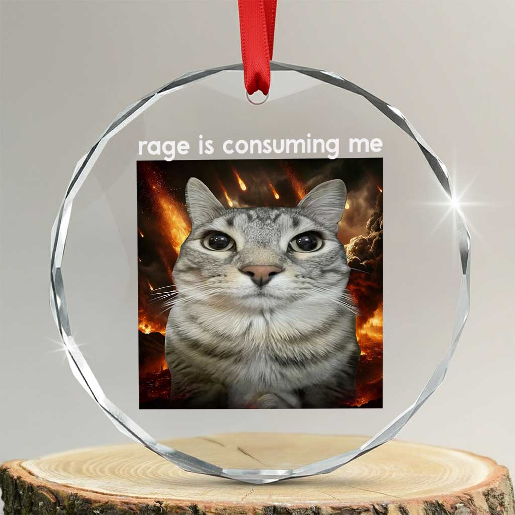 Rage Is Consuming Me Cat Crystal Glass Ornament Funny Weird Humor Silly Cat Meme TS10 Transparent Glass 3'' Circle Print Your Wear