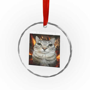 Rage Is Consuming Me Cat Crystal Glass Ornament Funny Weird Humor Silly Cat Meme - Print Your Wear