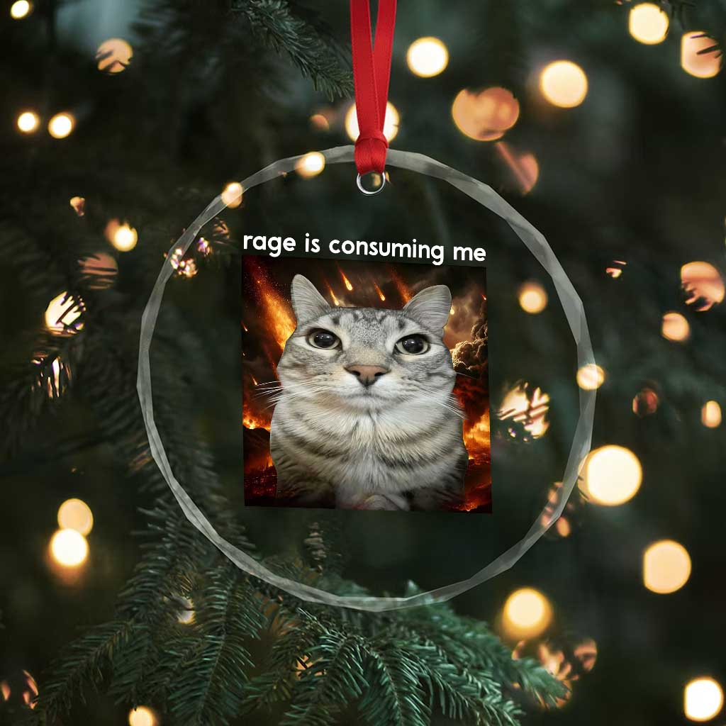 Rage Is Consuming Me Cat Crystal Glass Ornament Funny Weird Humor Silly Cat Meme TS10 Print Your Wear