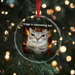 Rage Is Consuming Me Cat Crystal Glass Ornament Funny Weird Humor Silly Cat Meme - Print Your Wear