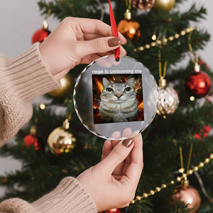 Rage Is Consuming Me Cat Crystal Glass Ornament Funny Weird Humor Silly Cat Meme - Print Your Wear